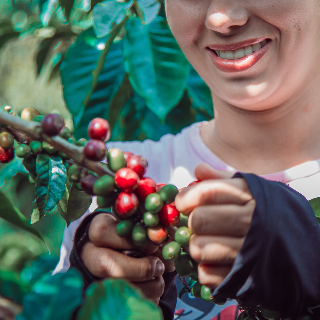 img azienda strongwoman